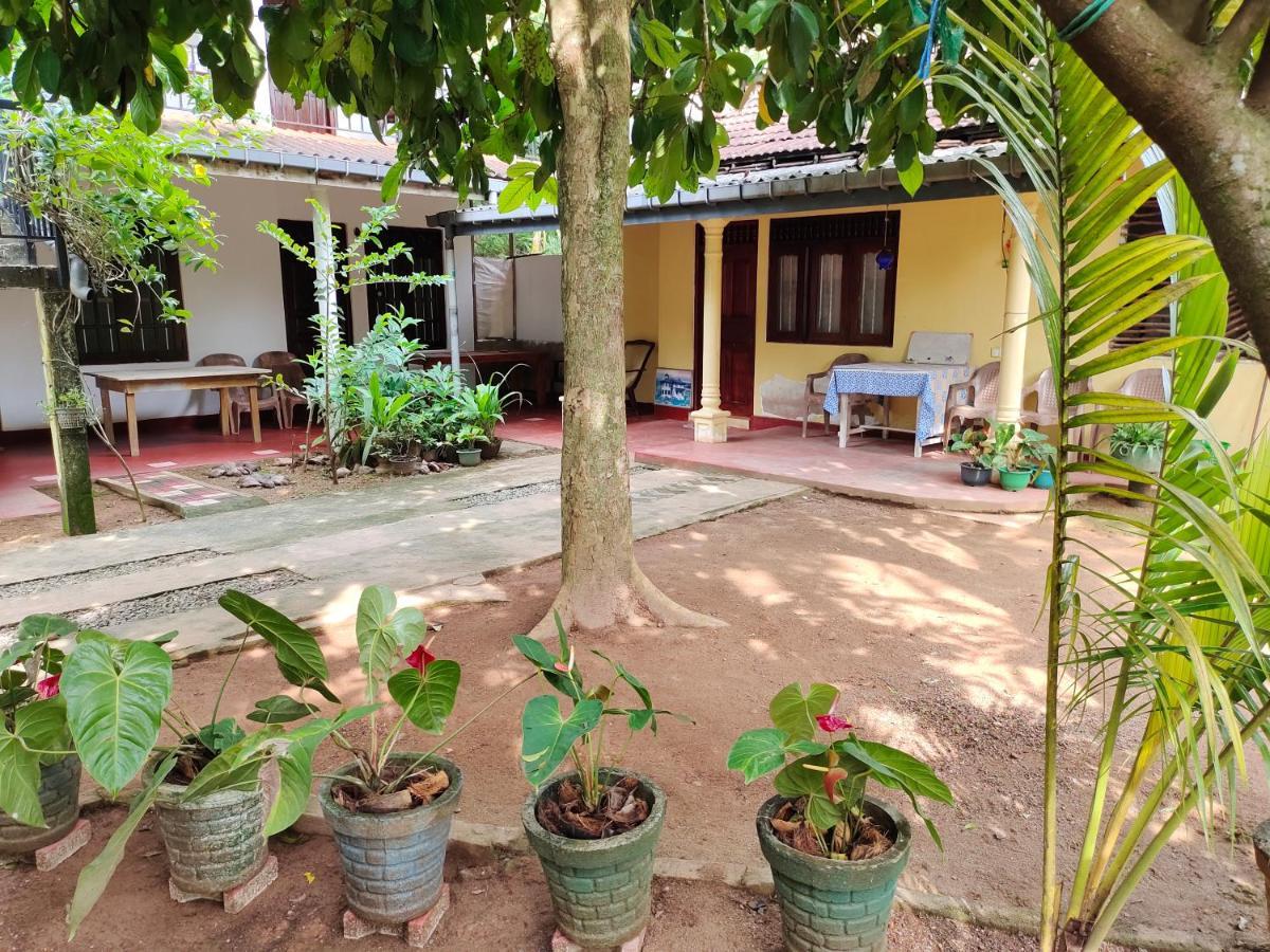 Ancient Tree Hotel Mirissa Buitenkant foto
