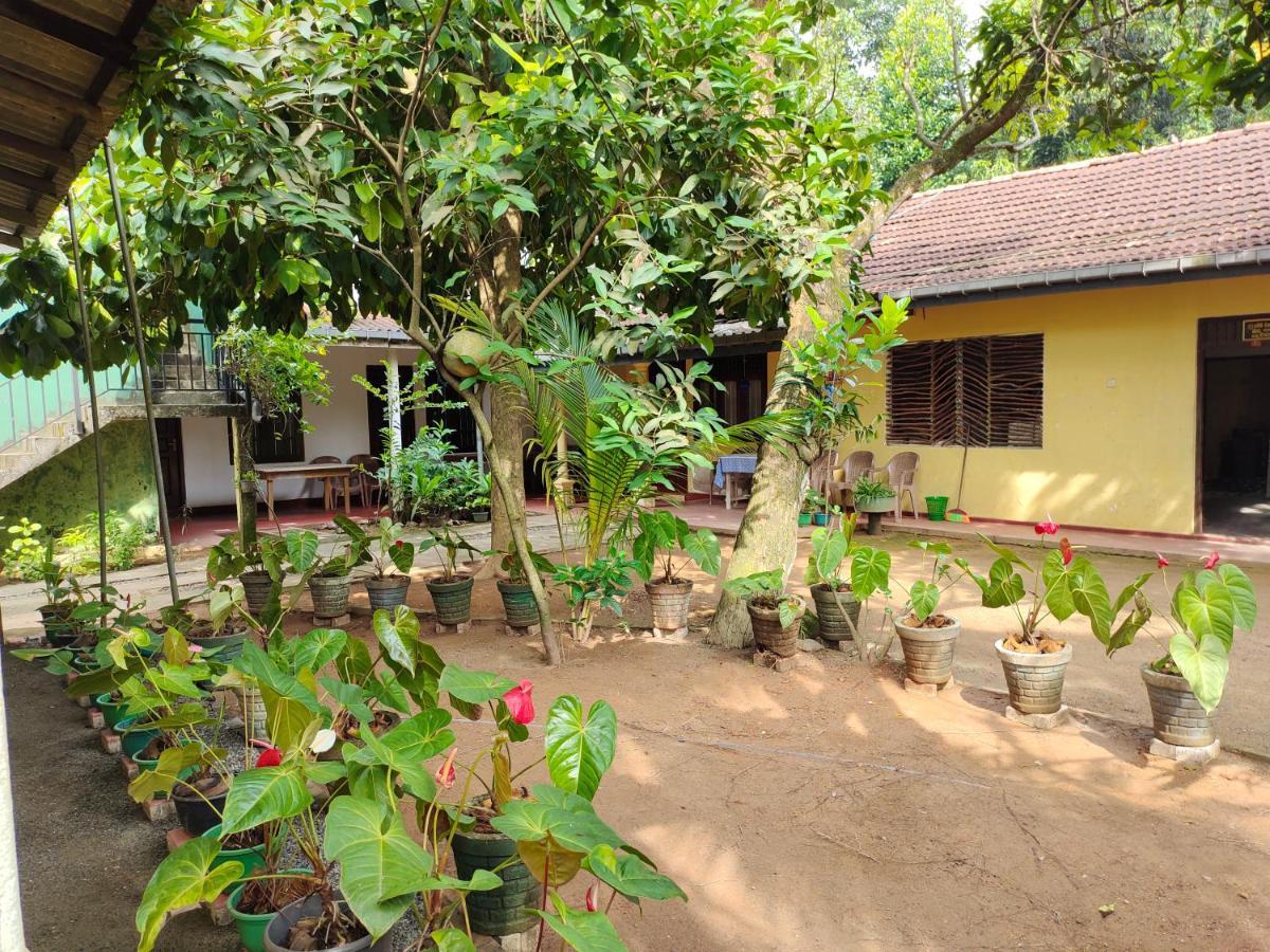 Ancient Tree Hotel Mirissa Buitenkant foto
